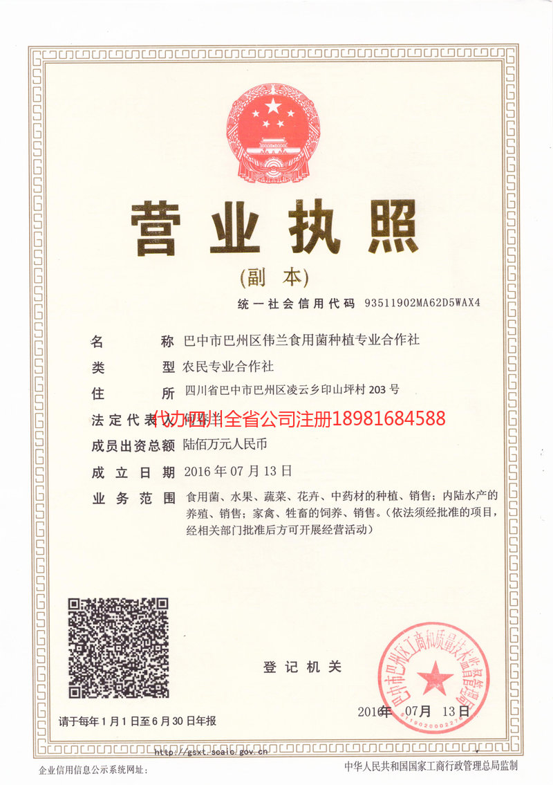 桐城桐城伟兰食用菌种植专业合作社